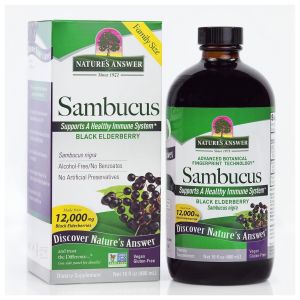 Sambucus Original 16 oz