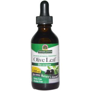 Nature's Answer Alcohol Free OleoPein Olive Leaf 2 fl oz