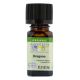 Aura Cacia Essential Oil Oregano 0.25 fl oz