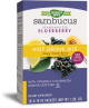 Sambucus Honey Lemon Berry Packets