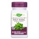 Nature's Way Holy Basil 60 Vegan Capsules