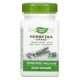 Nature's Way Horsetail 100 Capsules