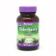 Bluebonnet Elderberry