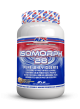 APS Isomorph 28 Pure Whey Isolate Cinnamon Graham Cracker 2 LB